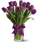 Passionate Purple Tulips from Backstage Florist in Richardson, Texas